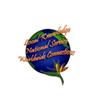 Professional Logo